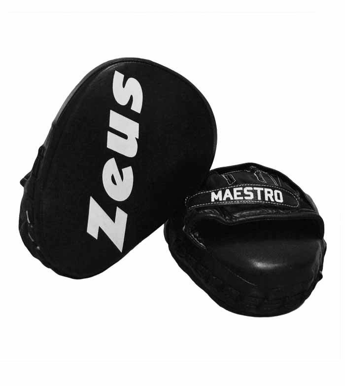 Immagine GUANTI BOXE MAESTRO