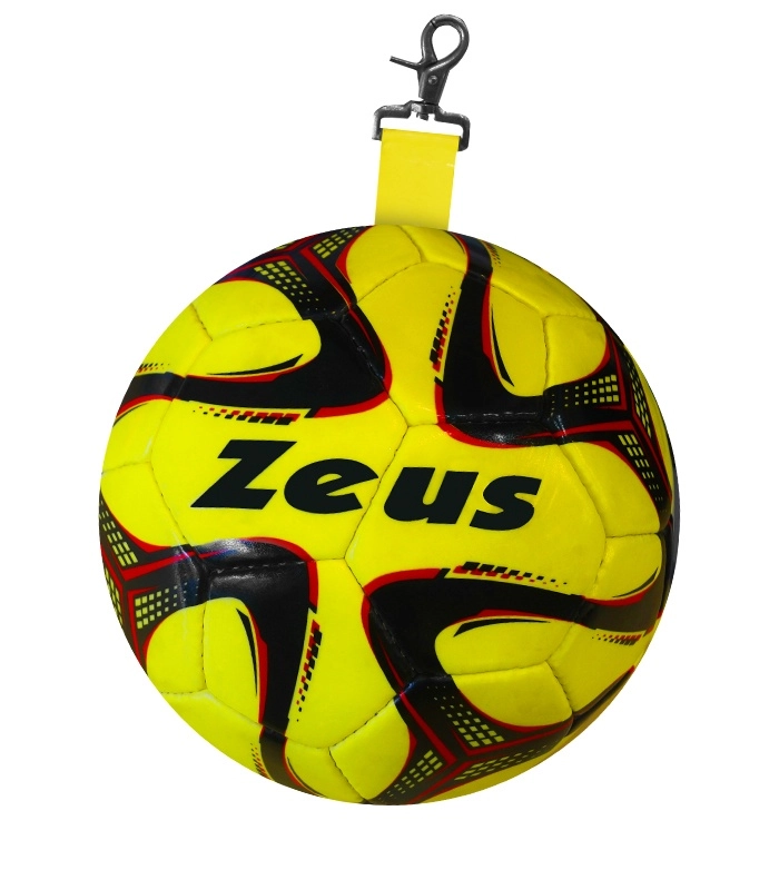 Immagine PALLONE PENDOLO