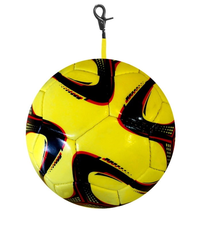 Immagine PALLONE PENDOLO