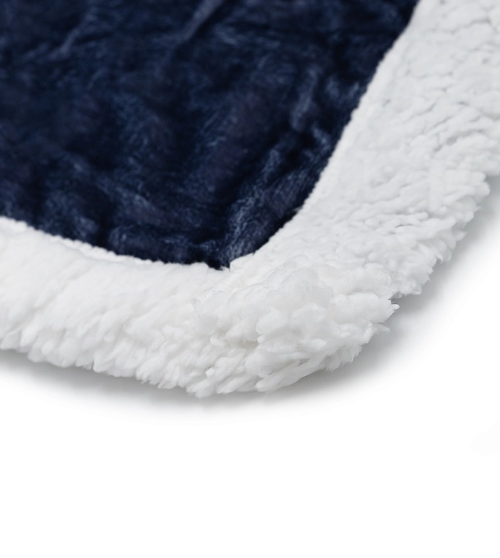 Immagine PLAID ZEUS