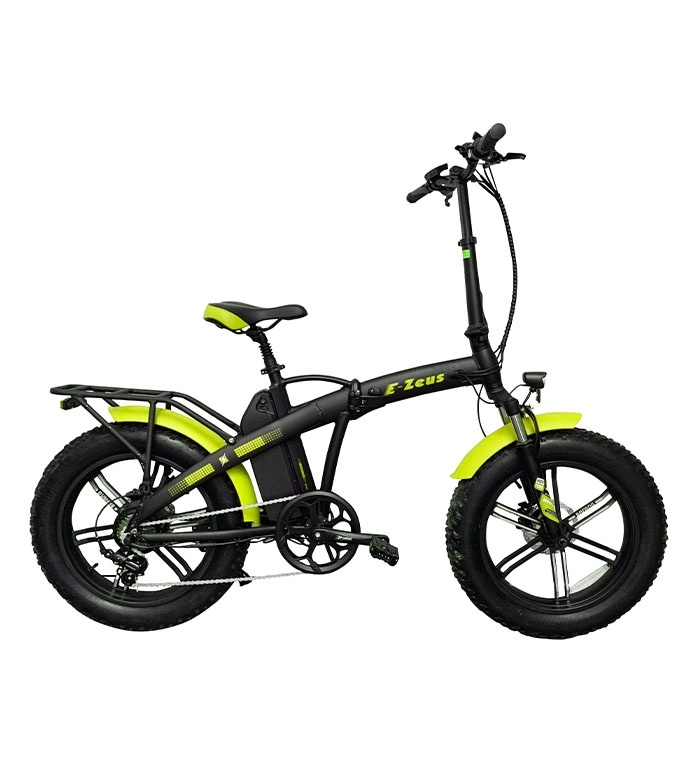 Immagine E-BIKE ZEUS