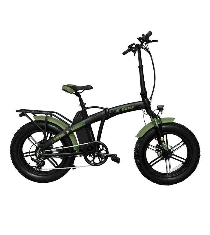 Immagine E-BIKE ZEUS