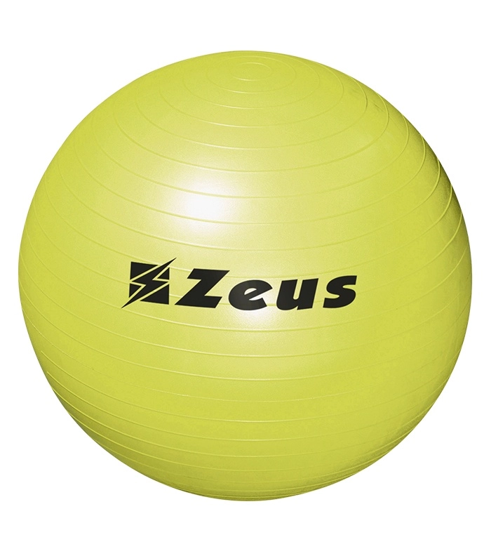 Immagine GYM BALL