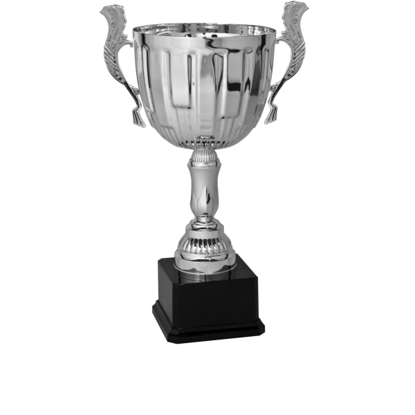 Immagine Trofeo con manici Praga