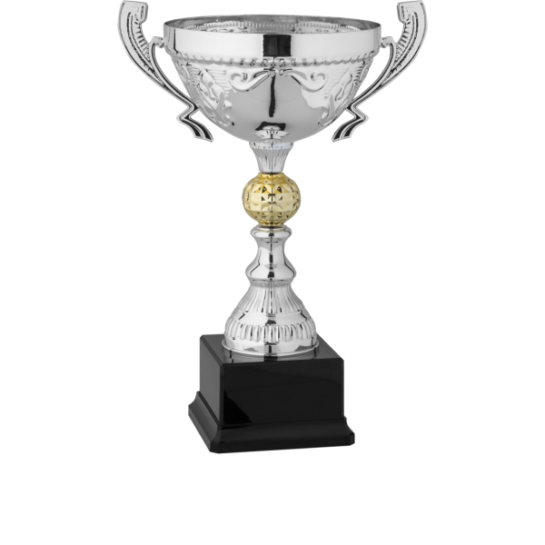 Immagine Trofeo con manici Valencia