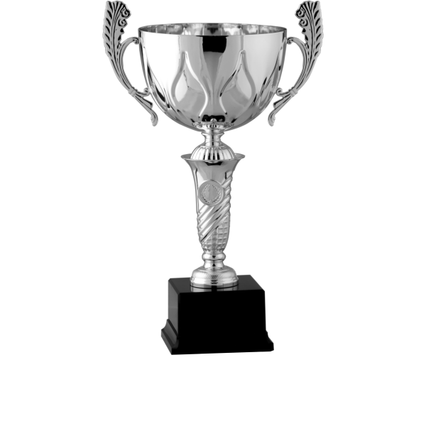 Immagine Trofeo con manici Sidney