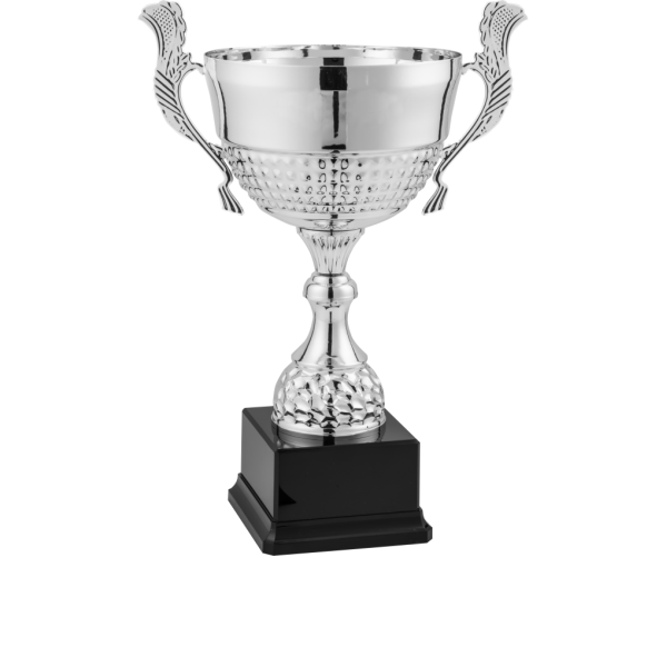 Trofeo con manici Boston