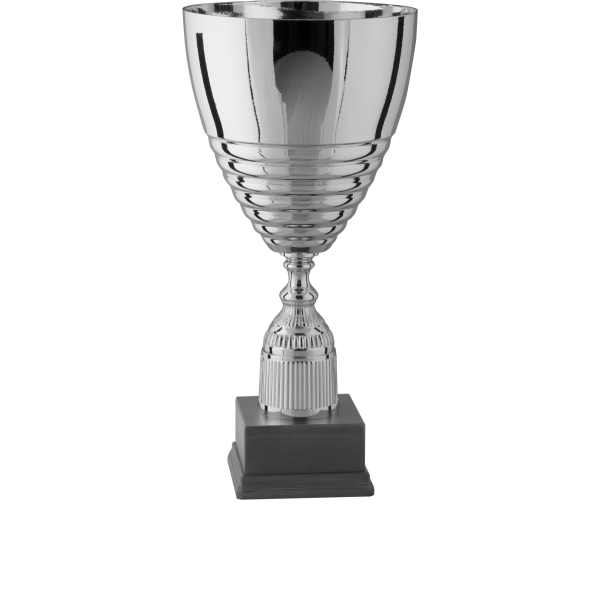 Immagine Trofeo Malaga