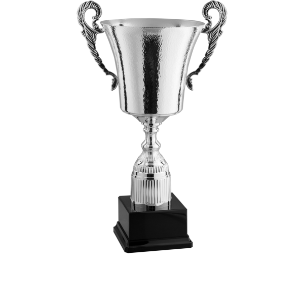 Immagine prodotto Argento