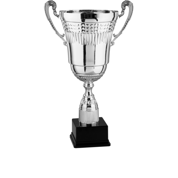 Immagine Trofeo con manici Rotterdam