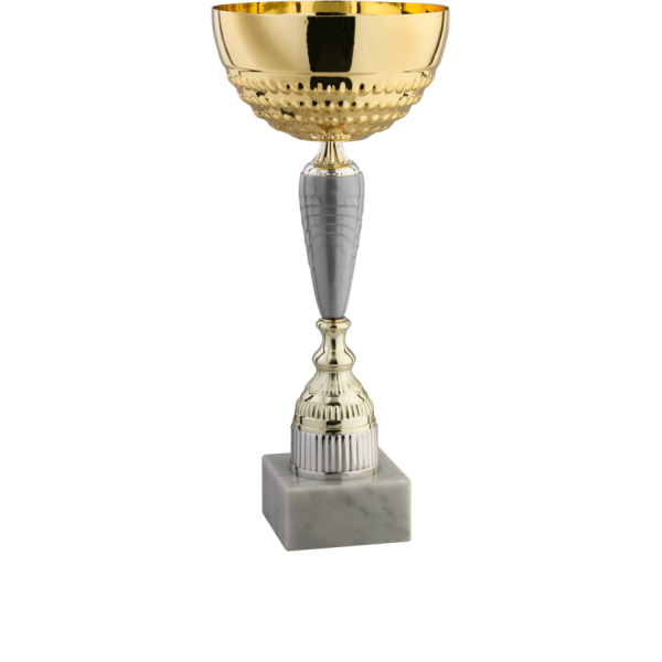 Immagine Coppa Miami