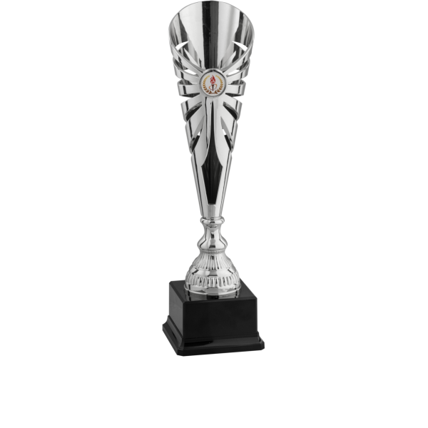 Immagine Coppa Nantes