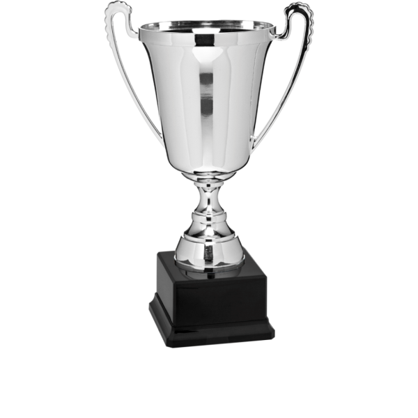 Coppa con manici Birmingham