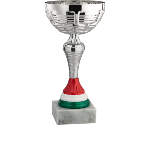 Immagine Coppa Santiago