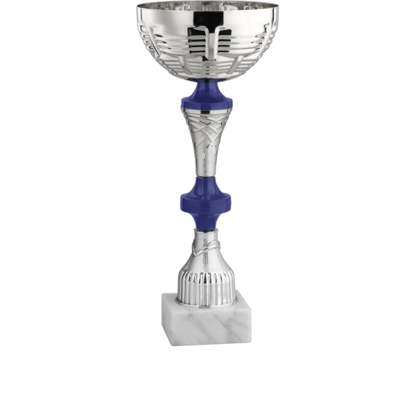 Immagine Coppa Strasburgo