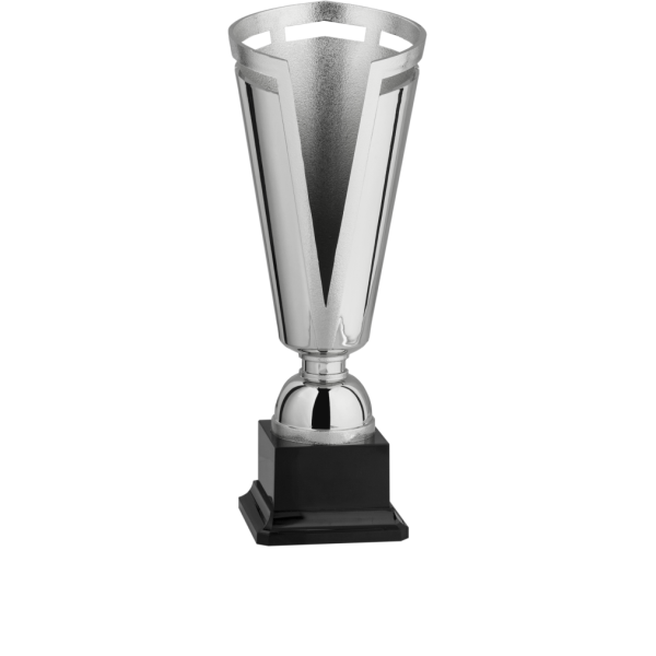 Immagine Coppa Norimberga