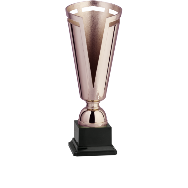 Immagine Coppa Norimberga