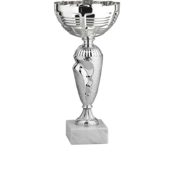 Immagine Coppa Oxford