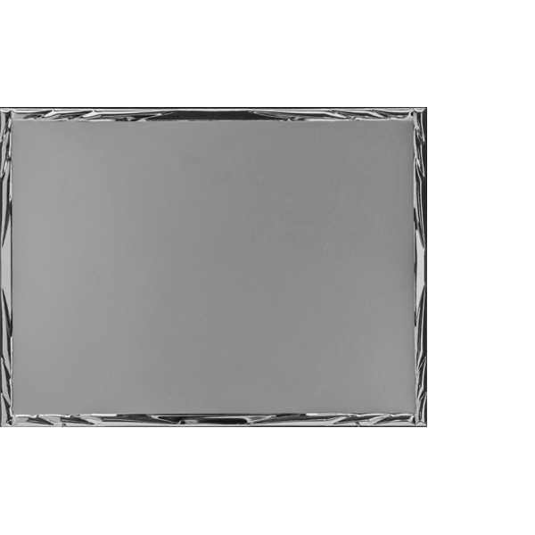 Immagine Targa Bravo