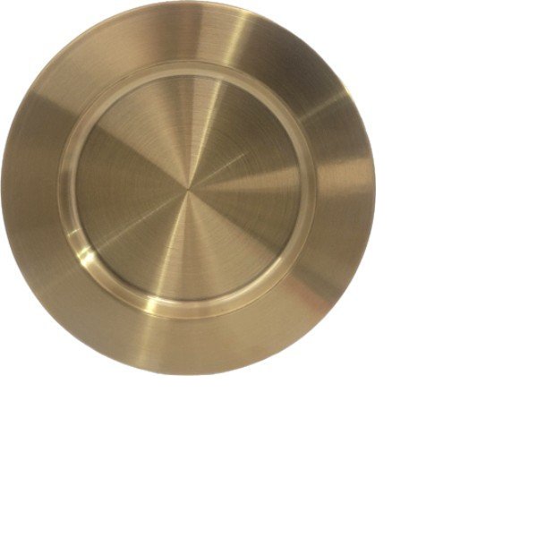 Immagine Piatto dorato Thomas