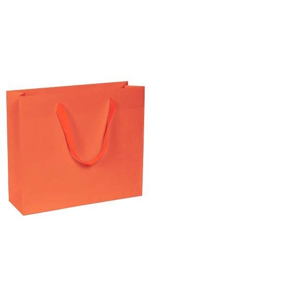 Immagine Chic bag 24x10x20+5