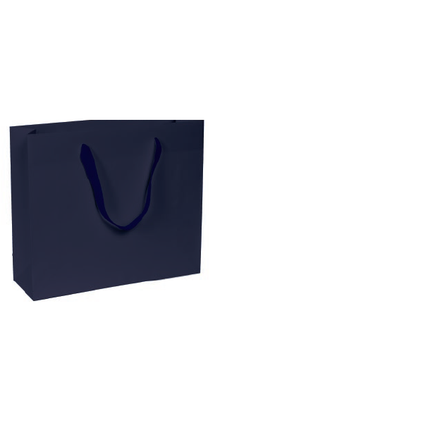 Immagine Chic bag 24x10x20+5