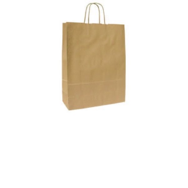 Classic natural bag 15x8x20
