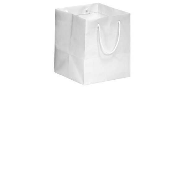 Gourmet bag kraft 26x25x32+5