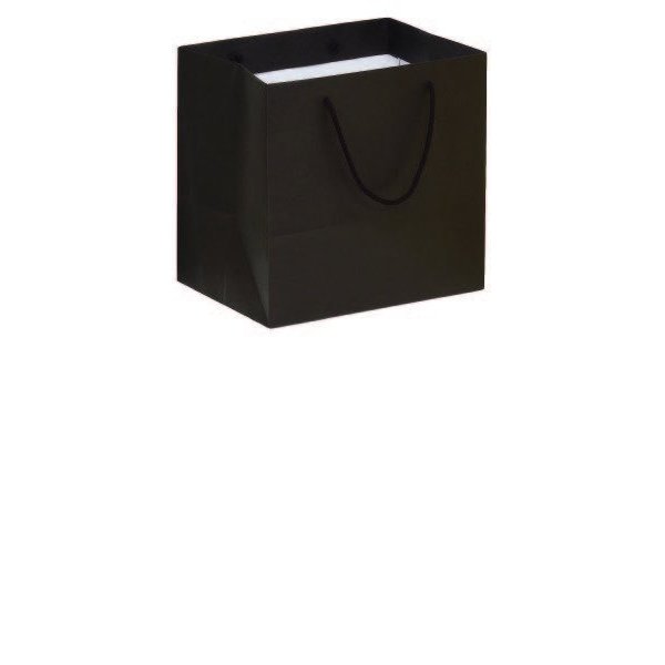 Immagine Gourmet bag kraft 32x23x31+5