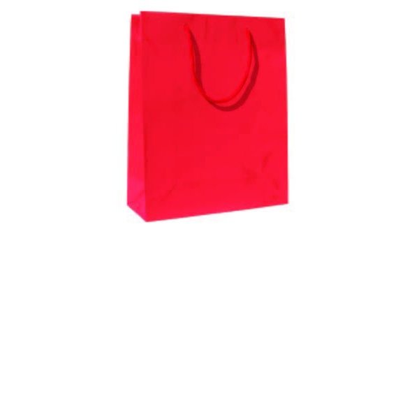 Immagine Lux bag gloss 24x10x27+5