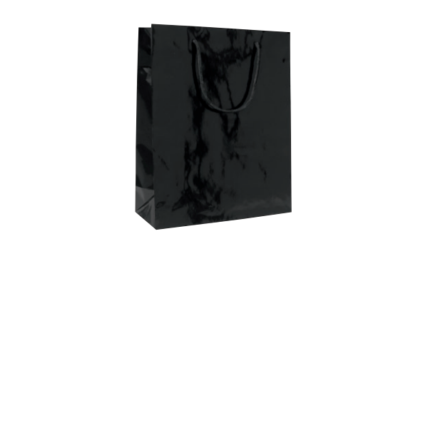 Lux bags gloss 30x12x26+5