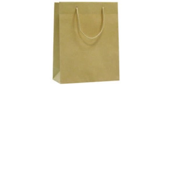 Lux bag natural sealing 42x13x37+6
