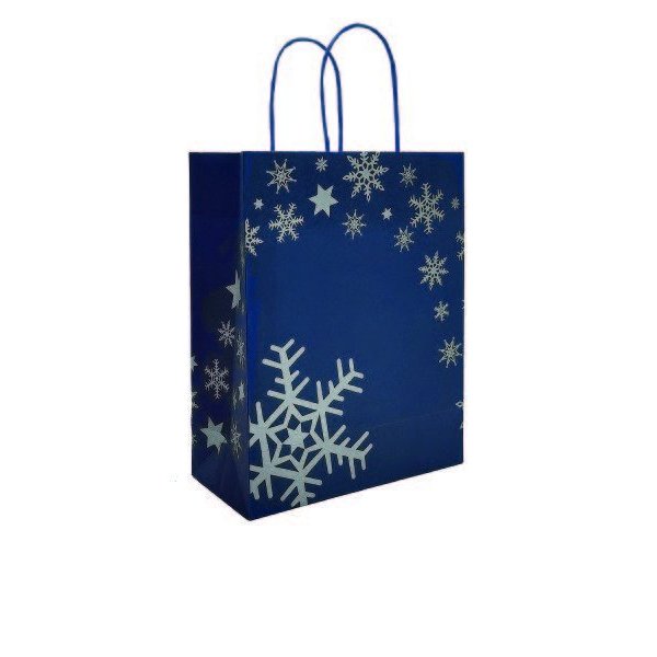 Immagine Xstar bag kraft 22x10x27+5