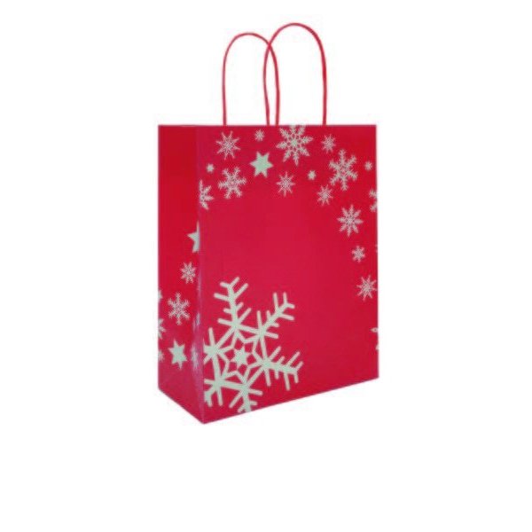 Immagine Xstar bag kraft 32x13x40+6