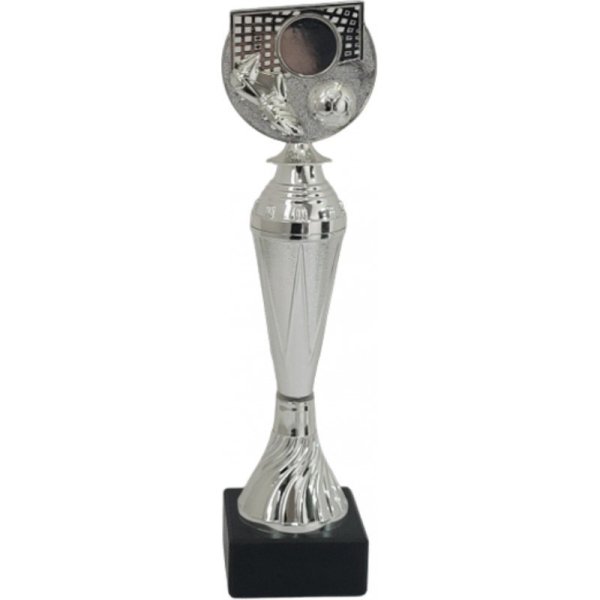 Immagine Trofeo Aster 26