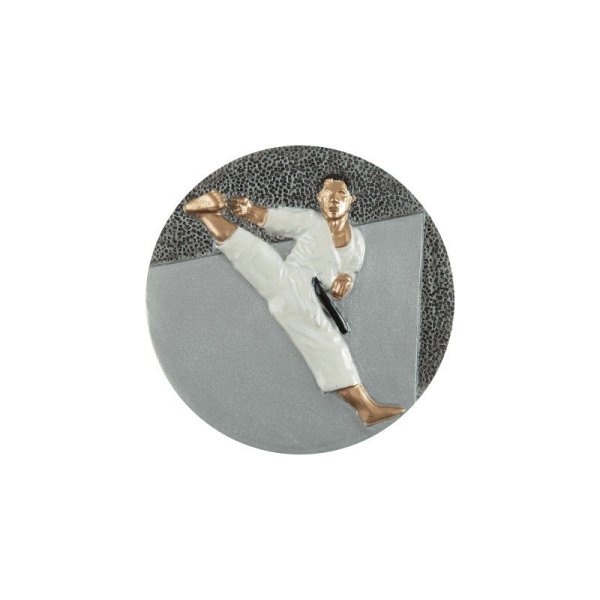 Disco karate 2D Sports