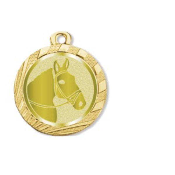 Immagine Medaglia Ardesia