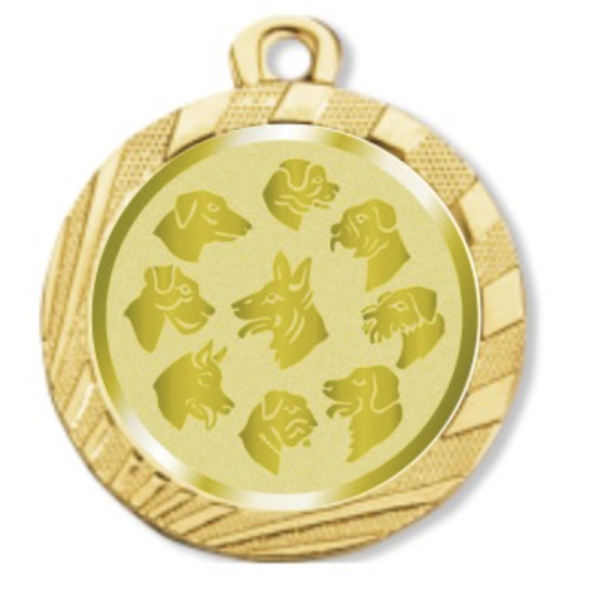 Immagine Medaglia Magnetite
