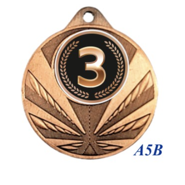 Immagine Medaglia Alfa