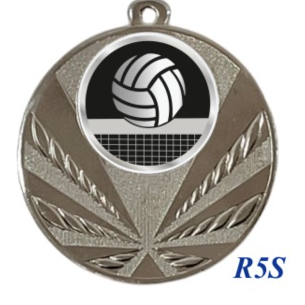 Immagine Medaglia Oscar