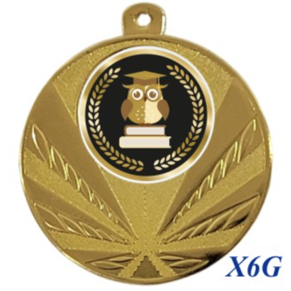 Immagine Medaglia Xray