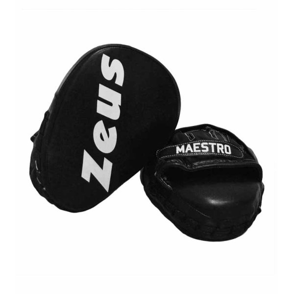 Immagine GUANTI BOXE MAESTRO