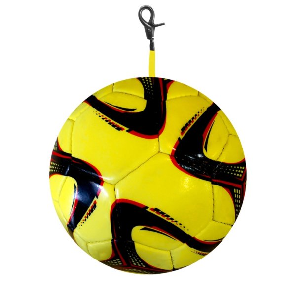 Immagine PALLONE PENDOLO