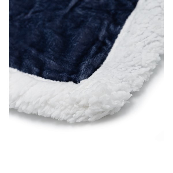 Immagine PLAID ZEUS