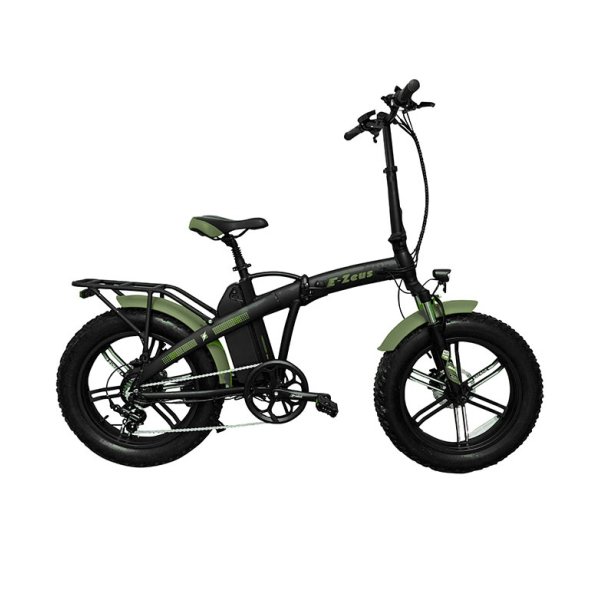 Immagine E-BIKE ZEUS